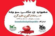 درخشش اعضا و مربیان کانون استان کرمانشاه در مهرواره عکاسی «شوچله»